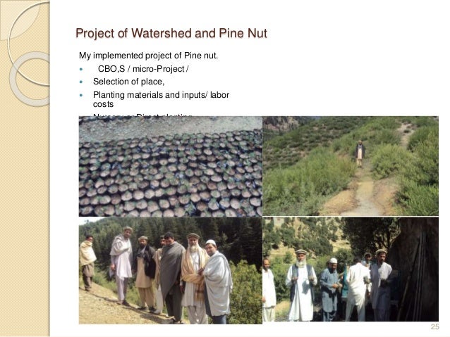 who is fik shun dating