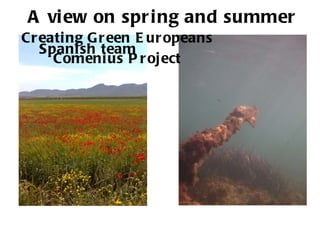 A view on spring and summer Creating Green Europeans Comenius Project Spanish team 