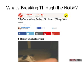 What’s Breaking Through the Noise?
 