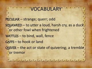 VOCABULARY
PECULIAR – strange; querr; odd
SQUAWKED – to utter a loud, harsh cry, as a duck
or other fowl when frightened
WATTLES – to bind, wall, fence
GAFFS – to hook or land
QUIVER – the act or state of quivering; a tremble
or tremor
 