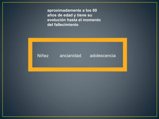 Niñez ancianidad adolescencia
aproximadamente a los 60
años de edad y tiene su
evolución hasta el momento
del fallecimiento
 