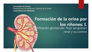 Formación de la orina por
los riñones: I.
Filtración glomerular, flujo sanguíneo
renal y su control
Universidad de Sonora
Departamento de Medicina y Ciencias de la Salud
Licenciatura en Medicina
 