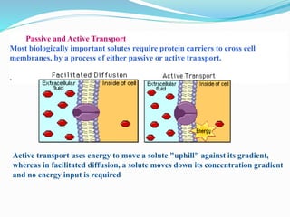 Biomembranes of cell | PPTX
