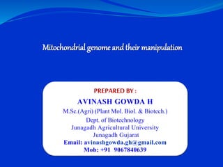 Mitochondrial genome and their manipulation
PREPARED BY :
AVINASH GOWDA H
M.Sc.(Agri) (Plant Mol. Biol. & Biotech.)
Dept. of Biotechnology
Junagadh Agricultural University
Junagadh Gujarat
Email: avinashgowda.gh@gmail.com
Mob: +91 9067840639
 