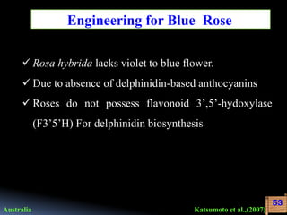 Genetic engineering for flower colour modification | PPTX