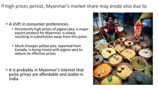 Should Myanmar Enter a Long-term Pulse Exports Deal with India?