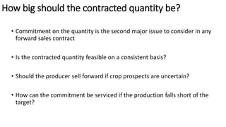 Should Myanmar Enter a Long-term Pulse Exports Deal with India?