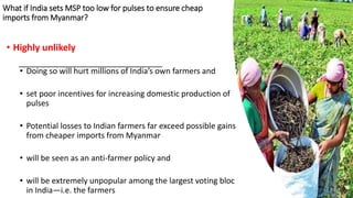 Should Myanmar Enter a Long-term Pulse Exports Deal with India?