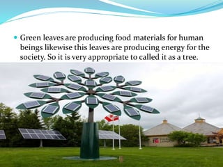  Green leaves are producing food materials for human
beings likewise this leaves are producing energy for the
society. So it is very appropriate to called it as a tree.
 