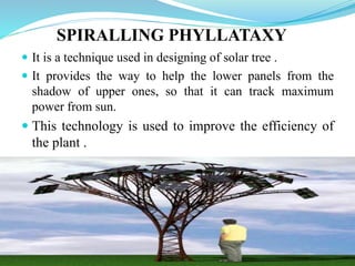 SPIRALLING PHYLLATAXY
 It is a technique used in designing of solar tree .
 It provides the way to help the lower panels from the
shadow of upper ones, so that it can track maximum
power from sun.
 This technology is used to improve the efficiency of
the plant .
 