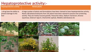 Hepatoprotective activity:-
Hepatoprotective activity Herbal plants
a drug have the ability to
prevent damage to the
liver
A large number of plants and formulations have been claimed to have hepatoprotective activity.
Nearly 160 phytoconstituents from 101 plants have been claimed to possess liver protecting
activity. They are mainly Coccinia grandis, Flacourtia indica, Silybum marianum, Annona
squamosa, Solanum nigrum, Chamomile capitula, Wedelia calendulacea etc
29/5/2014 PBT-510 Biosafety,IPR and Bioetics {2+0} 100
coccinia grandis Flacourtia indica Silybum marianum Annona squamosa
Solanum nigrum Chamomile capitula Wedelia calendulacea
 