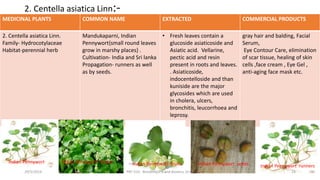 2. Centella asiatica Linn:-
MEDICINAL PLANTS COMMON NAME EXTRACTED COMMERCIAL PRODUCTS
2. Centella asiatica Linn.
Family- Hydrocotylaceae
Habitat-perennial herb
Mandukaparni, Indian
Pennywort{small round leaves
grow in marshy places} .
Cultivation- India and Sri lanka
Propagation- runners as well
as by seeds.
• Fresh leaves contain a
glucoside asiaticoside and
Asiatic acid. Vellarine,
pectic acid and resin
present in roots and leaves.
. Asiaticoside,
indocentelloside and than
kuniside are the major
glycosides which are used
in cholera, ulcers,
bronchitis, leucorrhoea and
leprosy.
gray hair and balding, Facial
Serum,
Eye Contour Care, elimination
of scar tissue, healing of skin
cells ,face cream , Eye Gel ,
anti-aging face mask etc.
29/5/2014 PBT-510 Biosafety,IPR and Bioetics {2+0} 15
Indian Pennywort Indian Pennywort flower Indian Pennywort fruits Indian Pennywort seeds Indian Pennywort runners
 