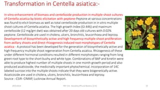 In vitro enhancement of biomass and centelloside production in multiple shoot cultures
of Centella asiatica by biotic elicitation with peptone-Peptone at various concentrations
was found to elicit biomass as well as total centelloside production in in vitro multiple
shoot cultures of Centella asiatica. The high growth Index (GI 446) and maximum
centelloside (12 mg/gm dwt) was obtained after 20 days old cultures with 0.02%
peptone. Centelloside are used in cholera, ulcers, bronchitis, leucorrhoea and leprosy.
Development of biosynthetically active and high frequency multiple shoot proliferation
from axillary shoots and direct rhizogenesis induced root morphotypes of Centella
asiatica - A protocol has been developed for the generation of biosynthetically active and
high frequency multiple shoot regeneration from Centella asiatica. Rhizogenesis of these
under different hormonal conditions resulted in different morphotypes ranging from long
green root type to the short bushy and white type. Combinations of BAP and kinetin were
able to produce highest number of multiple shoots in one month growth period and also
produced asiaticoside, the medicinally important phytochemical. Incorporation of 14C
labeled sucrose into the multiple shoots indicate that they were biogenetically active.
Asiaticoside are used in cholera, ulcers, bronchitis, leucorrhoea and leprosy.
Source :-CSIR- CIMAP, Lucknow Annual Report.
Transformation in Centella asiatica:-
29/5/2014 PBT-510 Biosafety,IPR and Bioetics {2+0} 19
 