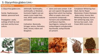 3. Glycyrrhiza glabra Linn:-
Medicinal Plants Common name Extraction Commercial products
3. Glycyrrhiza glabra Linn.
Family- Papilionaceae.
Habitat- perennial herb
Propagation- seeds,
cuttings of both by root
and stem and by tissue
culture.
Jethimadh, Yasthimadhu,
Jesthimadhu or Mulahati ,
licorice{in English root are
sweet,a juice made from
root, which usedin medicine
and sweet}
Cultivation- Baramulla,
Srinagar, Jammu, Dehradun,
Delhi, Anand, Indore and
Bangalore.
• stems and roots contain 5-20
per cent saponin like glycoside
glycyrrhizin which has healing
effect on peptic ulcers and
coumarine compounds -
herniarin and umbelliferone
and flavours liquiritin,
liquiritigenin, isoliquirtin and
isoliquiritigenin and glycosides-
liquiritoside, isoliquiritoside
are present.
Complexion Whitening Face
Wash, Barrier Repair
Moistutizer, Protein Shampoo
, Baby Lotion, licorice Skin
Whitening Cleanser, licorice
Skin whitening soap, Care
fairness face wash , Cold
Cream With Licorice etc.
29/5/2014 PBT-510 Biosafety,IPR and Bioetics {2+0} 20Glycyrrhiza glabra licorice Glycyrrhiza glabra flower Glycyrrhiza glabra fruits Roots
Glycyrrhiza glabra seeds
 