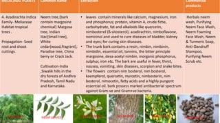 MEDICINAL PLANTS Common name Extraction Commercial
products
4. Azadirachta indica
Family- Meliaceae
Habitat-tropical
trees .
Propagation- Seed
root and shoot
cuttings.
Neem tree,{bark
contain margosine
chemical} Margosa
tree, Indian
lilac{Small tree},
White
cedar{wood,fragrant},
Paradise tree, China
berry or Crack Jack.
Cultivation-India
,Siwalik hills in the
dry forests of Andhra
Pradesh, Tamil Nadu
and Karnataka.
• leaves contain minerals like calcium, magnesium, iron
and phosphorus; protein, vitamin A, crude firbe,
carbohydrate, fat and alkaloids like quercetin,
nimbosterol (ß-sitosterol), azadirachtin, nimboflavone,
nomicinol and used to cure diseases of bladder, kidney
and eyes; for curing skin diseases.
• The trunk bark contains a resin, nimbin, nimbinin,
nimbidin, essential oil, tannins, the bitter principle
margosine, desa-acetyl nimbin, inorganic phosphorus,
sulphur, iron etc. The bark are useful in fever, thirst,
nausea, vomiting, skin diseases, scorpion and snake bites.
• The flowers contain nim bosterol, nim bosterol,
kaempferol, quercetin, myrcetin, nimbosterin, nim
bosterol, nimocetin, fatty acids and a highly pungent
essential oil. bark possess marked antibacterial spectrum
against Gram-ve and Gram+ve bacteria.
Herbals neem
wash, Purifying
Neem Face Wash,
Neem Foaming
Face Wash, Neem
& Turmeric Soap,
Anti-Dandruff
Shampoo,
Purifying Neem
Scrub etc.
29/5/2014 PBT-510 Biosafety,IPR and Bioetics {2+0} 25NEEM TREE NEEM LEAVES NEEM FLOWER NEEM BARK NEEM FRUITS NEEM SEEDS
 