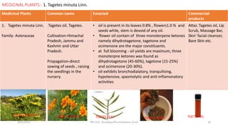 Medicinal Plants Common name Exracted Commercial
products
1. Tagetes minuta Linn.
Family- Asteraceae
Tagetes oil, Tagetes.
Cultivation-Himachal
Pradesh, Jammu and
Kashmir and Uttar
Pradesh.
Propagation-direct
sowing of seeds , raising
the seedlings in the
nursery.
• oil is present in its leaves 0.8% , flowers1.0 % and
seeds while, stem is devoid of any oil.
• flower oil contain of three monoterpene ketones
namely dihydrotagetone, tagetone and
ocimenone are the major constituents.
• at full blooming - oil yields are maximum, three
monoterpne ketones was found as
dihydrotagetone (45-60%), tagetone (15-25%)
and ocimenone (20-30%).
• oil exhibits bronchodialatory, tranquilising,
hypotensive, spasmolytic and anit-inflamonatory
activities
Attar, Tagetes oil, Lip
Scrub, Massage Bar,
Skin' facial cleanser,
Bare Skin etc.
MEDICINAL PLANTS:- 1. Tagetes minuta Linn.
29/5/2014 PBT-510 Biosafety,IPR and Bioetics {2+0} 34
TGETES MINUTA TGETES FLOWER TGETES LEAF TGETES SEEDS TGETES OIL
 