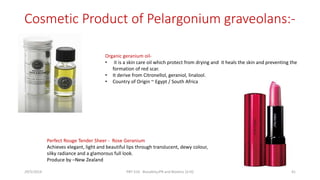 Cosmetic Product of Pelargonium graveolans:-
Organic geranium oil-
• it is a skin care oil which protect from drying and it heals the skin and preventing the
formation of red scar.
• It derive from Citronellol, geraniol, linalool.
• Country of Origin ~ Egypt / South Africa
Perfect Rouge Tender Sheer - Rose Geranium
Achieves elegant, light and beautiful lips through translucent, dewy colour,
silky radiance and a glamorous full look.
Produce by –New Zealand
29/5/2014 PBT-510 Biosafety,IPR and Bioetics {2+0} 41
 