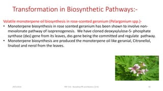 Transformation in Biosynthetic Pathways:-
Volatile monoterpene oil biosynthesis in rose-scented geranium (Pelargonium spp.)-
• Monoterpene biosynthesis in rose scented geranium has been shown to involve non-
mevalonate pathway of isoprenogenesis. We have cloned deoxyxylulose-5- phosphate
synthase (dxs) gene from its leaves, dxs gene being the committed and regulate pathway.
• Monoterpene biosynthesis are produced the monoterpene oil like geranial, Citronellol,
linalool and nerol from the leaves.
29/5/2014 PBT-510 Biosafety,IPR and Bioetics {2+0} 45
 