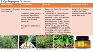 Medicinal Plants Common name Extracted Commercial products
5. Cymbopogons flexuosus
Family- poaceae
lemon grass, lemon oil grass.
Cultivation- Kerala, nothern
district of Travancore and
Cochin, Assam, Maharastra,
parts of Uttar Pradesh,
Jamind etc.
Propagation- seeds, rooted
slips.
• Leaves and Shoot of lemongrass
produce oil.
• Lemongrass oil contain myrcene
(0.02%), p-cymene (0.04%),
terpinene (0.60%), beta terpineol
(0.40%), alpha terpineol (2.25%),
triphenyl acetate (0.90%), borneol
(1.90%), geraniol + nerol (1.50%),
citral-b (27.7%), citral-a(46.60%),
farnesol (12.80%), farnesal (3.00%).
• lemongrass oil is mainly used in the
manufacture of perfumes for soaps,
hair oils, scents and medicines.
Body Scrub, in Skincare
product, Blackhead
Whitehead Controller, face
Mask, body oil etc.
5. Cymbopogons flexuosus:-
29/5/2014 PBT-510 Biosafety,IPR and Bioetics {2+0} 56
LEMON GRASS LEMON GRASS SHOOT LEMON GRASS FLOWERS LEMON GRASS ROOT SLIP LEMON GRASS OIL
 