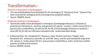 Transformation:-
Genomic manipulation in Cymbopogons-
• The raw autotetraploid clone developed for the Lemongrass (C. khasianus) clone. “Suwarna”has
been screened for cytological purity and progressive polyploid stability.
• Source- DMAPR, Anand.
Polyploidy breeding in Cymbopogons-
• Genetically stable clones developed in Lemongrass (Cymbopogon flexuosus), Citronella (C.
winterianus), Palmarosa (C. martinii), and geraniol rich species namely C. nardus (clone CN-5)- C.
jwaruncusha x confertiflorus, all with 2n=20, 4x=40, and Cymbopogon khasianus x pendulus –
clone CKP-25 (2n=60, 4x=120) were evaluated in the randomized block design.
• It Observed that the tetraploid of C. flexuosus, clone ‘Krishna’ and clone ‘Pragati’, auto-
tetraploids of C. winterianus clone Bio-13, and CIM- Jeeva, and the auto-tetraploids of geraniol
rich species, C. nardus {clone CN-5}-C. jwaruncusha x confertiflorus, and C. winterianus exhibit
superior oil yield and oil content.
• Source- DMAPR, Anand.
29/5/2014 PBT-510 Biosafety,IPR and Bioetics {2+0} 60
 