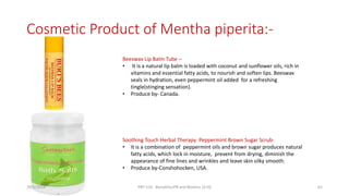 Cosmetic Product of Mentha piperita:-
Beeswax Lip Balm Tube –
• It is a natural lip balm is loaded with coconut and sunflower oils, rich in
vitamins and essential fatty acids, to nourish and soften lips. Beeswax
seals in hydration, even peppermint oil added for a refreshing
tingle(stinging sensation).
• Produce by- Canada.
Soothing Touch Herbal Therapy Peppermint Brown Sugar Scrub-
• It is a combination of peppermint oils and brown sugar produces natural
fatty acids, which lock in moisture, prevent from drying, diminish the
appearance of fine lines and wrinkles and leave skin silky smooth.
• Produce by-Conshohocken, USA.
29/5/2014 PBT-510 Biosafety,IPR and Bioetics {2+0} 62
 