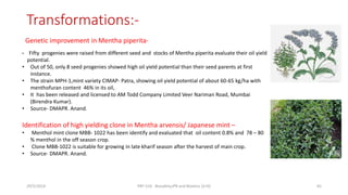 Transformations:-
Genetic improvement in Mentha piperita-
• Fifty progenies were raised from different seed and stocks of Mentha piperita evaluate their oil yield
potential.
• Out of 50, only 8 seed progenies showed high oil yield potential than their seed parents at first
instance.
• The strain MPH-1,mint variety CIMAP- Patra, showing oil yield potential of about 60-65 kg/ha with
menthofuran content 46% in its oil,
• It has been released and licensed to AM Todd Company Limited Veer Nariman Road, Mumbai
(Birendra Kumar).
• Source- DMAPR. Anand.
Identification of high yielding clone in Mentha arvensis/ Japanese mint –
• Menthol mint clone MBB- 1022 has been identify and evaluated that oil content 0.8% and 78 – 80
% menthol in the off season crop.
• Clone MBB-1022 is suitable for growing in late kharif season after the harvest of main crop.
• Source- DMAPR. Anand.
29/5/2014 PBT-510 Biosafety,IPR and Bioetics {2+0} 65
 