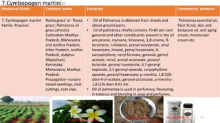 Medicinal Plants Common name Extracted Commercial products
7. Cymbopogon martini
Family- Poaceae
Rosha grass' or `Russa
grass‘, Palmarosa oil
grass.(shoots)
Cultivation-Madhya
Pradesh, Maharastra
and Andhra Pradesh,
Uttar Pradesh, Andhar
Pradesh, Jodphur
(Rajasthan),
Karnataka,
Maharastra, Madhya
Pradesh.
Propagation- nursery
raised seedlings, root-
cuttings, root slips.
• Oil of Palmarosa is obtained from shoots and
above ground parts.
• Oil of palmarosa chiefly contains 70-80 per cent
geraniol and other constituents present in the oil
are pinene, myrcene, limonene, 1,8-cinene, ß-
terpinene, n-hexanol, prenyl-isovalerate, amyl
hexanoate, linaool, prenyl hexanoate, ß-
caryophyllene, neryl formate, geranial, gernyl
acetate, nerol, prenyl octanoate, geranyl
butyrate, geranyl isovalerate, 6,7-geranyl
exposide, 2,3-geranyl epoxide, caryophyllene
epoxide, geranyl hexanoate; p-mentha, 1,8 (10)-
dien-9-yl-acetate, geranyl octonoate, p-mentha-
1,8 (10)-dien-9-01 etc.
• Oil of palmarosa is used in perfumery, flavouring
in tobacco and blending in soap and perfumes,
Palmarosa essential oil,
Face Scrub, skin and
bodycare oil, anti aging
cream, moisturizer
cream etc.
7.Cymbopogon martini:-
29/5/2014 PBT-510 Biosafety,IPR and Bioetics {2+0} 66
PALMAROSA GRASS PALMAROSA FLOWER PALMAROSA SEEDS PALMAROSA OIL
 