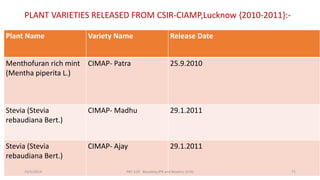 PLANT VARIETIES RELEASED FROM CSIR-CIAMP,Lucknow {2010-2011}:-
Plant Name Variety Name Release Date
Menthofuran rich mint
(Mentha piperita L.)
CIMAP- Patra 25.9.2010
Stevia (Stevia
rebaudiana Bert.)
CIMAP- Madhu 29.1.2011
Stevia (Stevia
rebaudiana Bert.)
CIMAP- Ajay 29.1.2011
29/5/2014 PBT-510 Biosafety,IPR and Bioetics {2+0} 71
 