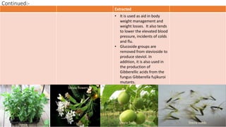 Continued:-
29/5/2014 PBT-510 Biosafety,IPR and Bioetics {2+0} 73
Extracted
• It is used as aid in body
weight management and
weight losses. It also tends
to lower the elevated blood
pressure, incidents of colds
and flu.
• Glucoside groups are
removed from stevioside to
produce steviol. In
addition, it is also used in
the production of
Gibberellic acids from the
fungus Gibberella fujikuroi
mutants.
Stevia
Stevia flowers
Stevia fruits Stevia seeds
 
