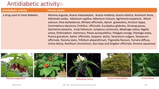 Antidiabetic activity Herbal plants
a drug used to treat diabetes Abroma augusta, Acacia melanoxylon, Acacia modesta, Acacia nilotica, Aconitum ferox,
Adhatoda vasika, Adiantum capillus, Adiantum incisum, Agrimonia eupatoria, Allium
sativum, Aloe barbadensis, Althaea officinalis, Apium graveolens, Arctium lappa,
Commiphora abyssinca, Embilica officinalis, Eucalyptus globules, Ginseng panax,
Gymnema sylvestre, Inula helenium, Juniperus communis, Medicago sativa, Nigella
sativa, Orthosiphon stamineus, Panex quinquefolius, Polygala senega, Plantago ovata,
Punica granatum, Salvia officinalis, Scoparia dulcis, Tanacetum vulgare, Taraxacum
officinale, Tecoma stans, Trifolium alexandrinum, Trigonella foenum, Turnera diffusa,
Urtica dioica, Xanthium strumarium, Zea mays and Zingiber officinale, Annona squamosa
Antidiabetic activity:-
29/5/2014 PBT-510 Biosafety,IPR and Bioetics {2+0} 86
Abroma augustum Ginseng panax Adhatoda vasica Acacia melanoxylon Urtica dioica
 