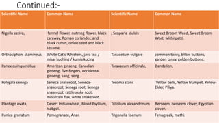 Continued:-
29/5/2014 PBT-510 Biosafety,IPR and Bioetics {2+0} 89
Scientific Name Common Name Scientific Name Common Name
Nigella sativa, fennel flower, nutmeg flower, black
caraway, Roman coriander, and
black cumin, onion seed and black
sesame.
, Scoparia dulcis Sweet Broom Weed, Sweet Broom
Wort, Mithi patti.
Orthosiphon stamineus White Cat's Whiskers, java tea /
misai kuching / kumis kucing
Tanacetum vulgare common tansy, bitter buttons,
garden tansy, golden buttons.
Panex quinquefolius American ginseng, Canadian
ginseng, five-fingers, occidental
ginseng, sang, seng.
Taraxacum officinale, Dandelion,
Polygala senega Seneca snakeroot, Seneca-
snakeroot, Senega root, Senega
snakeroot, rattlesnake root,
mountain flax, white snakeroot.
Tecoma stans Yellow bells, Yellow trumpet, Yellow-
Elder, Piliya.
Plantago ovata, Desert Indianwheat, Blond Psyllium,
Isabgol.
Trifolium alexandrinum Berseem, berseem clover, Egyptian
clover.
Punica granatum Pomegranate, Anar. Trigonella foenum Fenugreek, methi.
 