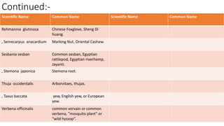 Continued:-
29/5/2014 PBT-510 Biosafety,IPR and Bioetics {2+0} 95
Scientific Name Common Name Scientific Name Common Name
Rehmannia glutinosa Chinese Foxglove, Sheng Di
huang.
, Semecarpus anacardium Marking Nut, Oriental Cashew.
Sesbania sesban Common sesban, Egyptian
rattlepod, Egyptian riverhemp,
Jayanti.
, Stemona japonica Stemona root.
Thuja occidentalis Arborvitaes, thujas.
, Taxus baccata yew, English yew, or European
yew.
Verbena officinalis common vervain or common
verbena, "mosquito plant" or
"wild hyssop“.
 