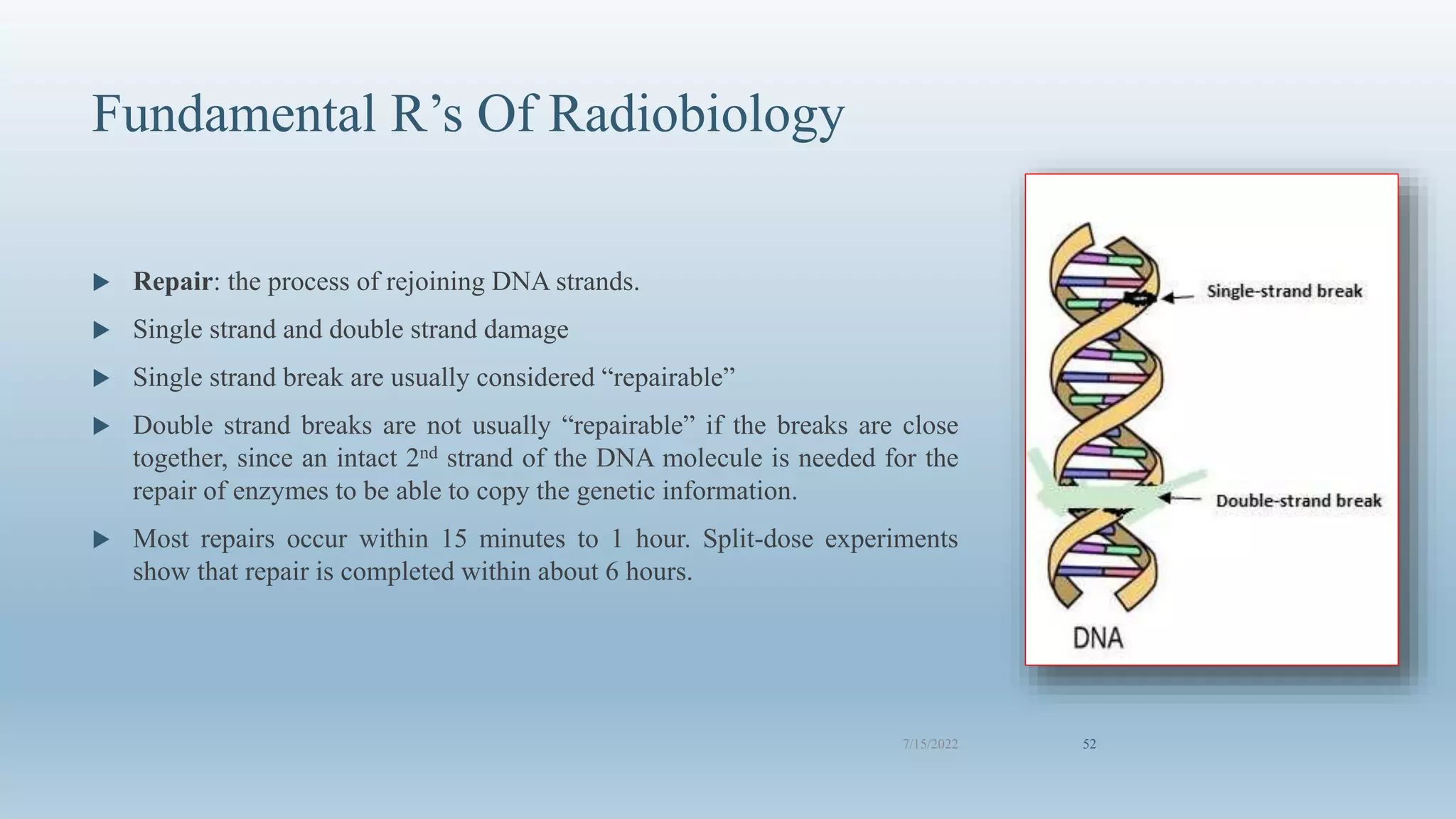 Fundamentals of radiobiology- Avinesh Shrestha | PPTX
