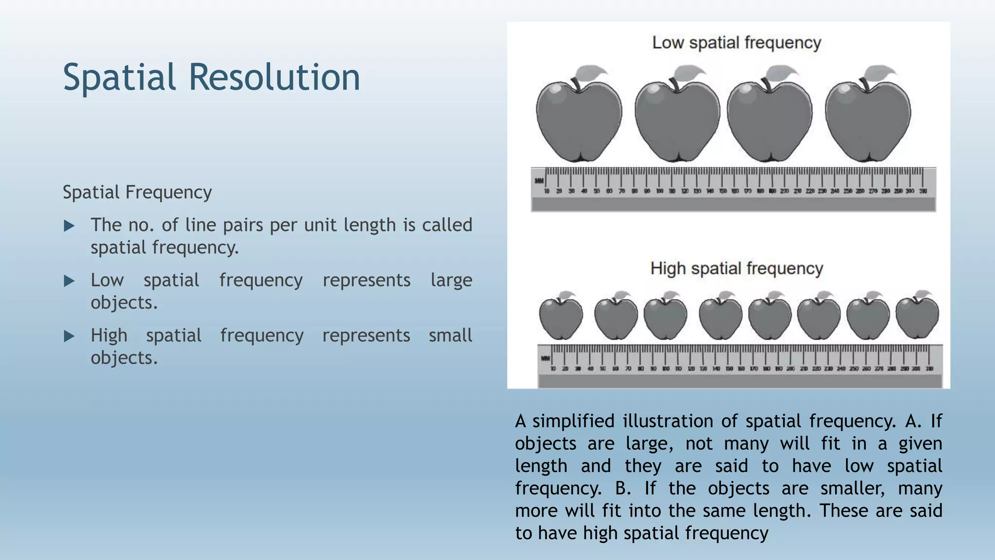 Spatial Resolution
Spatial Frequency
 The no. of line pairs per unit length is called
spatial frequency.
 Low spatial frequency represents large
objects.
 High spatial frequency represents small
objects.
A simplified illustration of spatial frequency. A. If
objects are large, not many will fit in a given
length and they are said to have low spatial
frequency. B. If the objects are smaller, many
more will fit into the same length. These are said
to have high spatial frequency
 