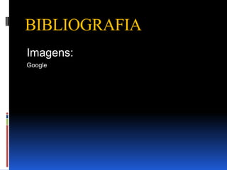 BIBLIOGRAFIA
Imagens:
Google
 