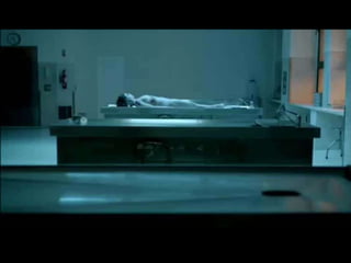 A violência – um atentado á vida