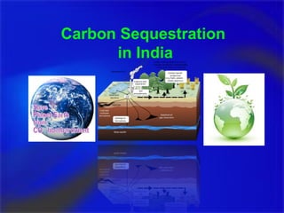 Carbon Sequestration
in India
 