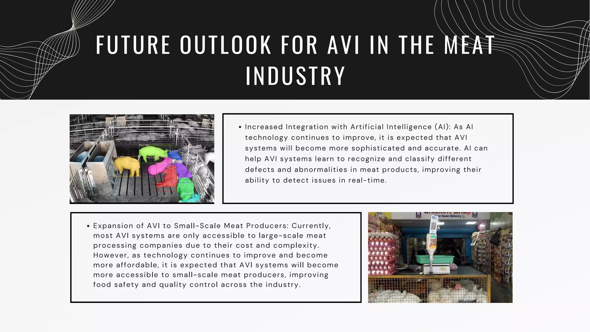 Automated Vision Inspection in Meat Industry | PDF