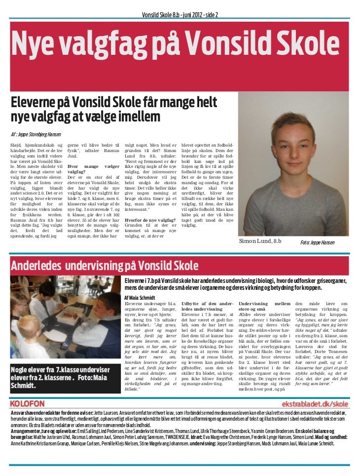 Essay avisen i undervisningen 04 image