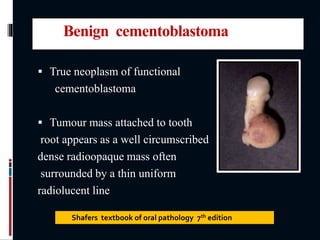 Benign cementoblastoma
 True neoplasm of functional
cementoblastoma
 Tumour mass attached to tooth
root appears as a well circumscribed
dense radioopaque mass often
surrounded by a thin uniform
radiolucent line
Shafers textbook of oral pathology 7th edition
 