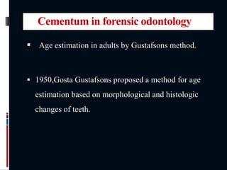Cementum in forensic odontology
 Age estimation in adults by Gustafsons method.
 1950,Gosta Gustafsons proposed a method for age
estimation based on morphological and histologic
changes of teeth.
 