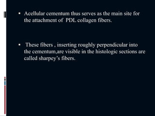  Acellular cementum thus serves as the main site for
the attachment of PDL collagen fibers.
 These fibers , inserting roughly perpendicular into
the cementum,are visible in the histologic sections are
called sharpey’s fibers.
 