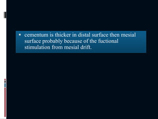  cementum is thicker in distal surface then mesial
surface probably because of the fuctional
stimulation from mesial drift.
 