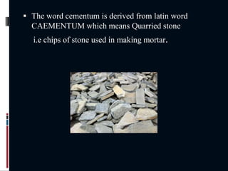  The word cementum is derived from latin word
CAEMENTUM which means Quarried stone
i.e chips of stone used in making mortar.
 