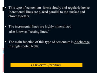  This type of cementum forms slowly and regularly hence
Incremental lines are placed parallel to the surface and
closer together.
 The incremental lines are highly mineralized
also know as “resting lines.”
 The main function of this type of cementum is Anchorage
in single rooted teeth.
A.R.TENCATES 4TH EDITION
 
