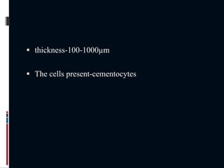  thickness-100-1000µm
 The cells present-cementocytes
 