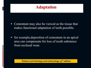 Adaptation
 Cementum may also be viewed as the tissue that
makes functional adaptation of teeth possible.
 for example,deposition of cementum in an apical
area can compensate for loss of tooth substance
from occlusal wear.
Òrbans oral histology and embryology 13th edition
 