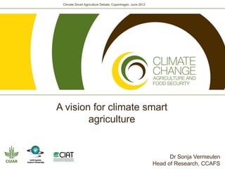 Climate Smart Agriculture Debate, Copenhagen, June 2012




A vision for climate smart
        agriculture


                                                                 Dr Sonja Vermeulen
                                                           Head of Research, CCAFS
 