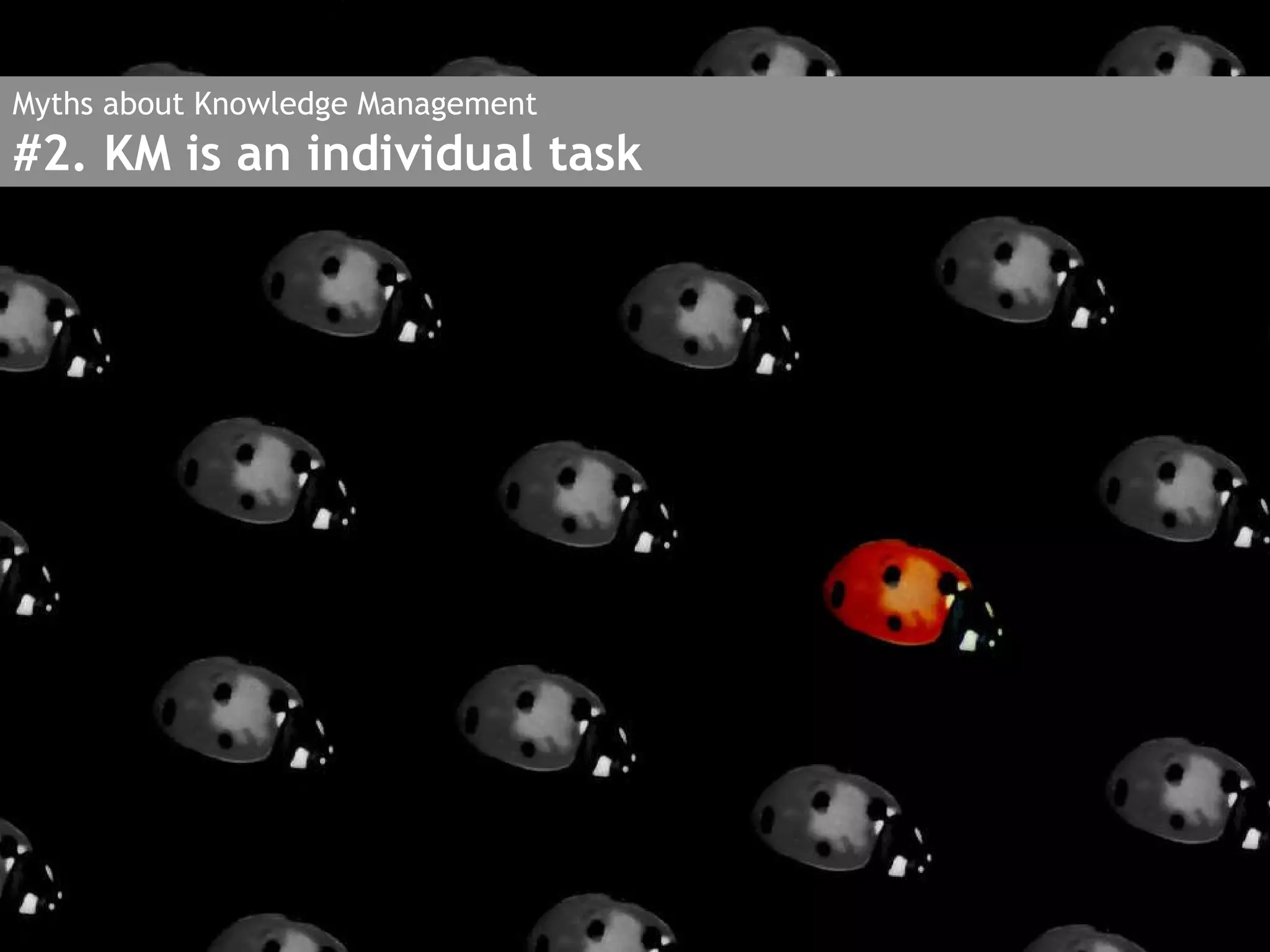 Myths about Knowledge Management #2. KM is an individual task 