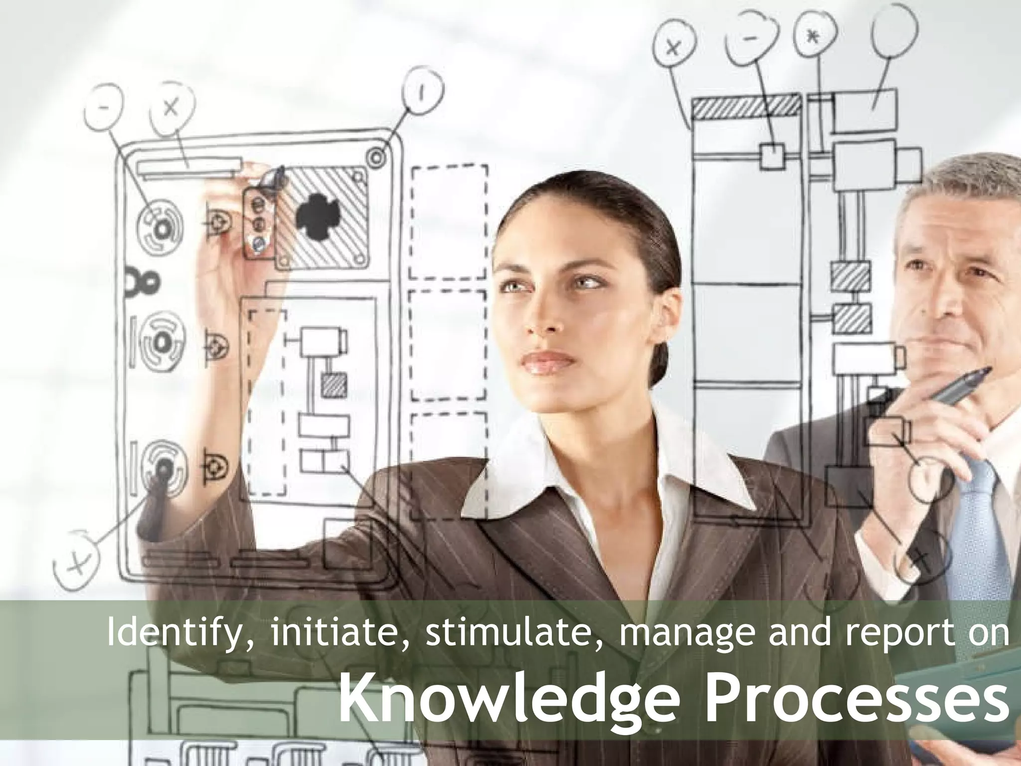 Identify, initiate, stimulate, manage and report on Knowledge Processes 